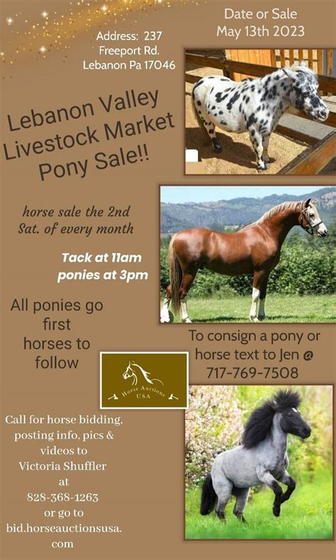 Lebanon horse auction. Things To Know About Lebanon horse auction. 